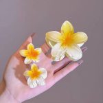 کلیپس مو پلومریا - تصویر 2