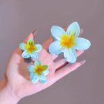 کلیپس مو پلومریا - تصویر 4