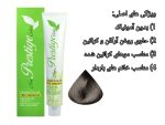 رنگ مو بدون آمونیاک نیو پرستیژ شماره 6.2 رنگ بلوند دودی تیره - تصویر 2